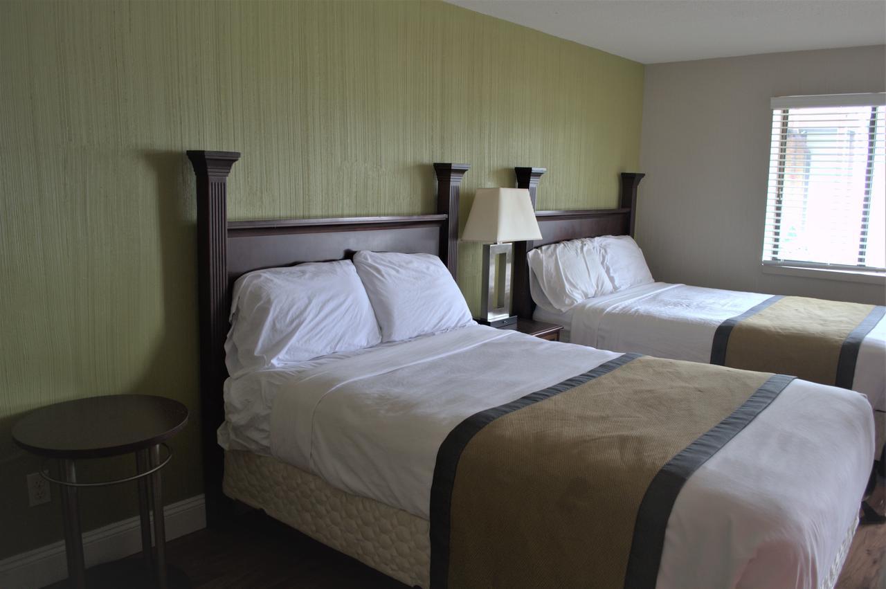 Carrier Motor Lodge Newington Ngoại thất bức ảnh